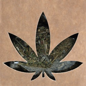 marihuanový list