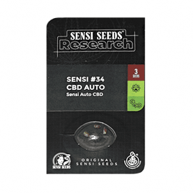 tri semienka CBD odrody Sensi Seeds No.34  Automatic