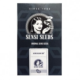 Apline Delight CBD Automatic (3 semienka) - Konopné semená Sensi Seeds