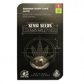 Sensi Banana Kush Cake Automatic (3 semienka) - Semená marihuany Sensi Seeds Research