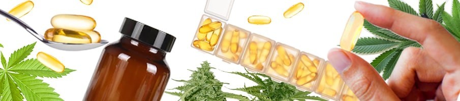 CBD Capsules
