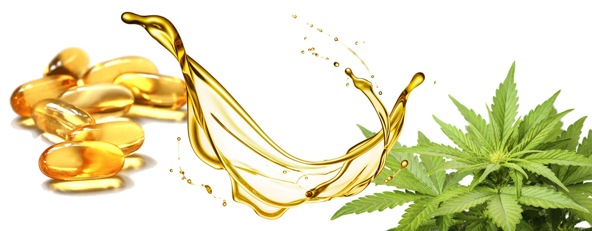 Ilustračný obrázok: CBD olej - kapsule s obsahom CBD oleja, olej v pohybe a rastlina liečivého konope