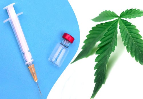 CBD a boj s leukémiou
